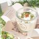 Senso Naturale Aromatherapy 100% Soy Wax Candle & Wooden Wick, Balance 5oz