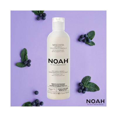 NOAH 2.6 Anti Yellow Hair Mask With Blueberry Extract For Blonde, Grey, White or Bleached Hair, 250ml