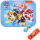 Paw Patrol Kids Plasters in Reusable Metal Tin - Waterproof, Flexible & Breathable First Aid Plasters, Latex-Free & Skin-Friendly, Two Sizes, 24 Plasters